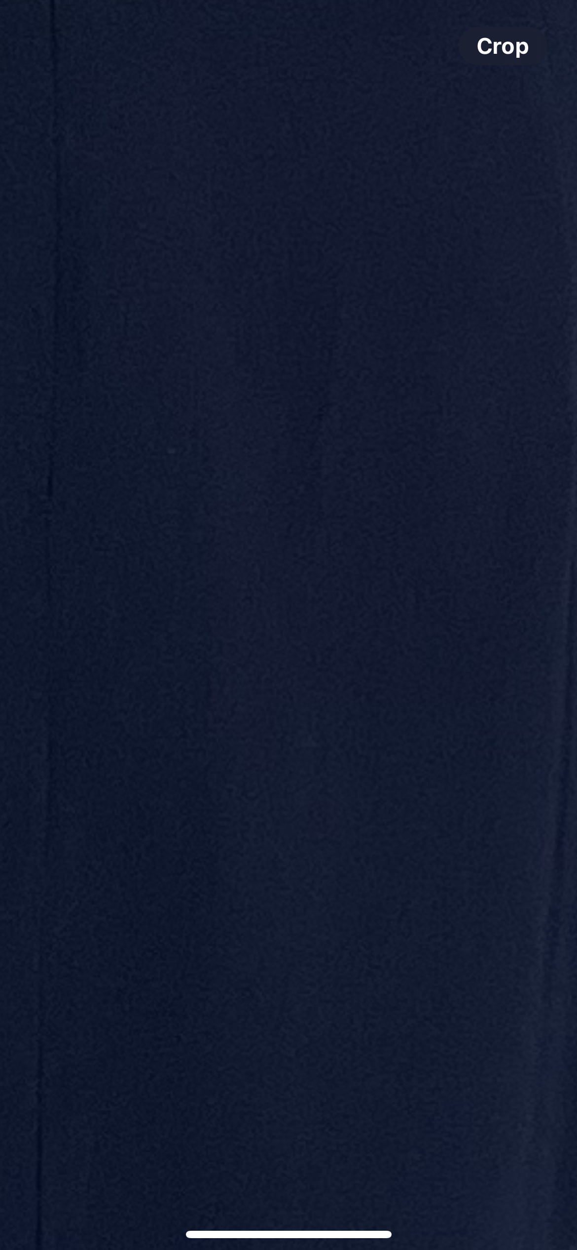 SHONA JOY | size 12 | RRP $329